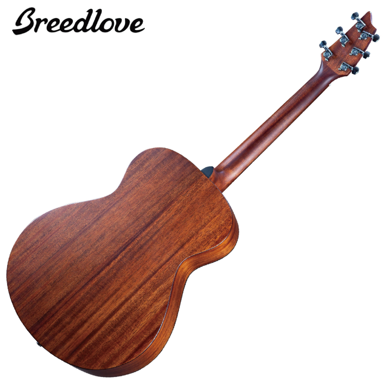 Breedlove Discovery S Concert Mahogany 面單 木吉他 