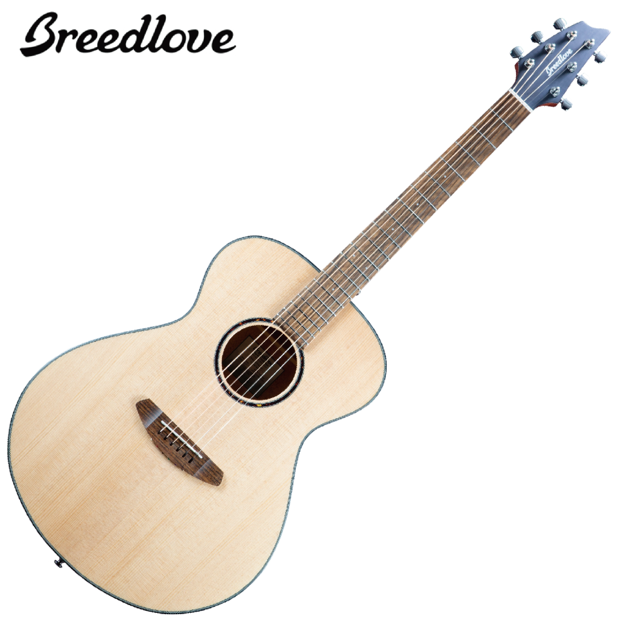 Breedlove Discovery S Concert 面單 木吉他 