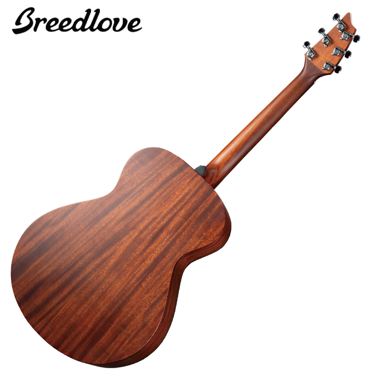 Breedlove Discovery S Concert 面單 木吉他 