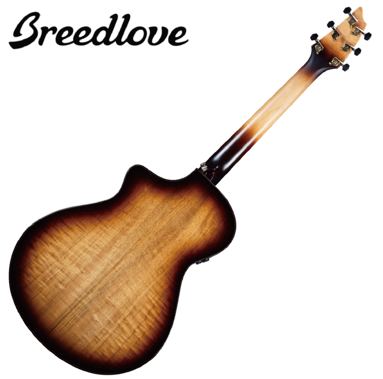 Breedlove Arista Pro Series Concert Burnt Amber CE  面單 電木吉他