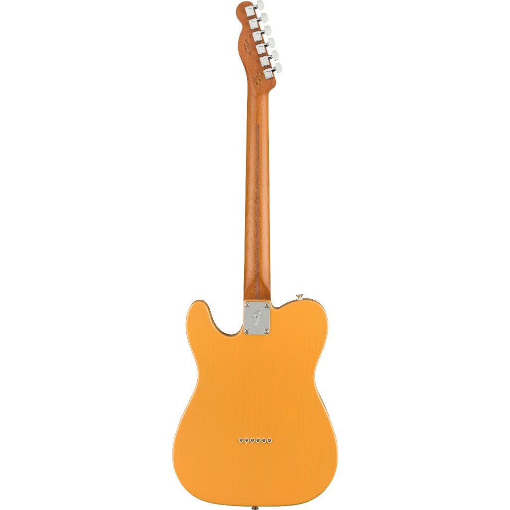 Fender LTD Player Telecaster RMN BTB 電吉他 烤楓木指板