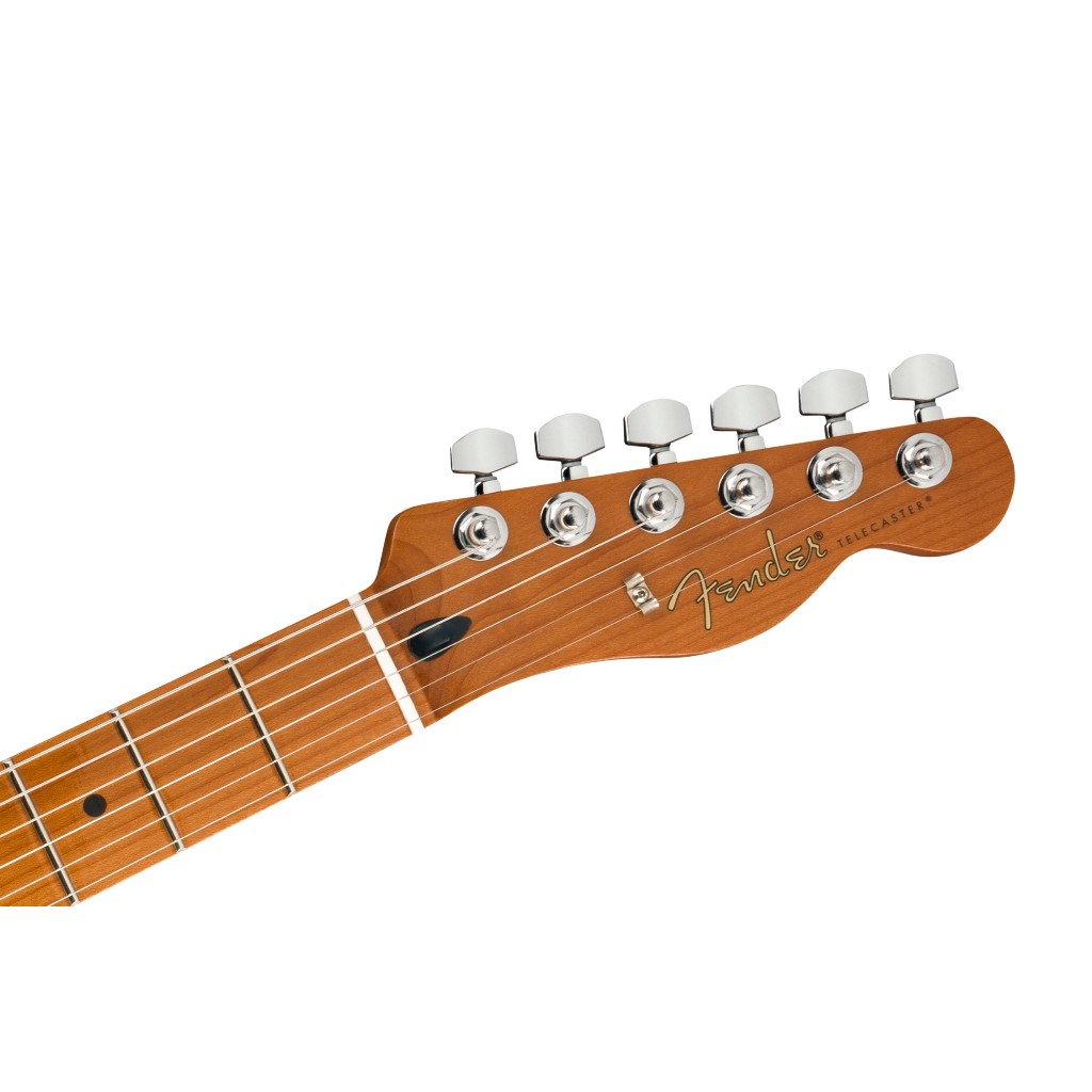 Fender LTD Player Telecaster RMN BTB 電吉他 烤楓木指板