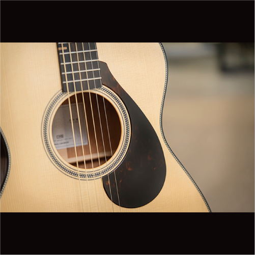 Yamaha FS9-R Acoustic Guitar 木吉他 預購