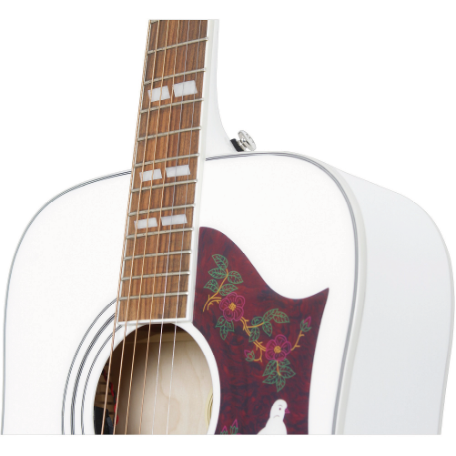 Epiphone Dove Pro Limited Edition 面單板 民謠吉他 限量版 白色款 