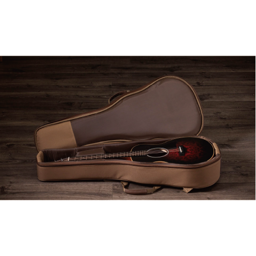 Taylor GS Mini-e Special Edition  Victorian Burst 維多利亞炸裂 特別限定款 面單 電木 旅行吉他