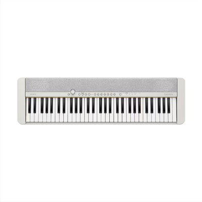 Casio CT-S1 電子琴